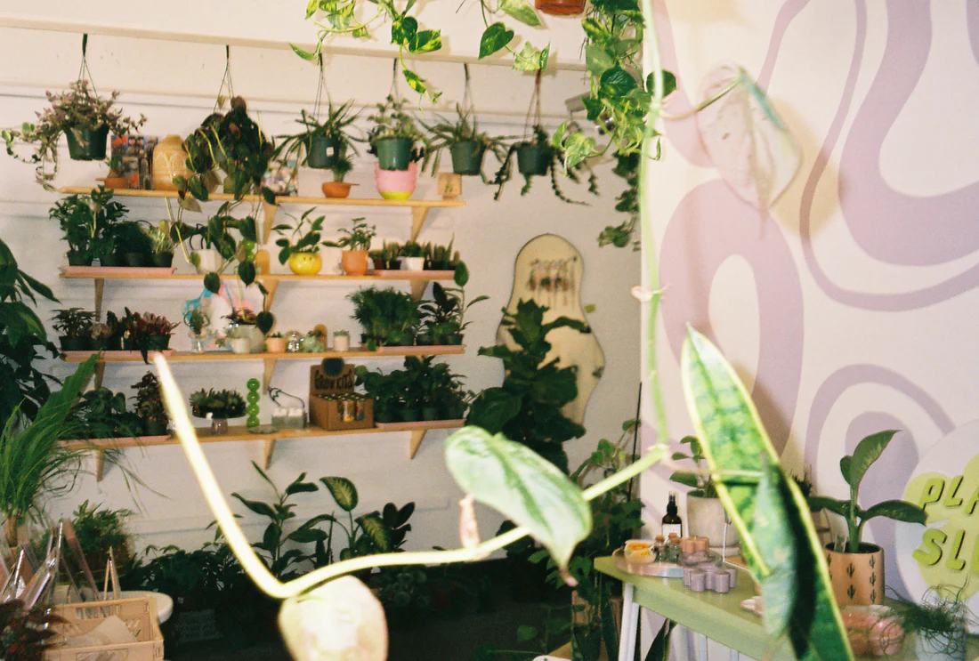 MOMENT Shop: Plant Slut