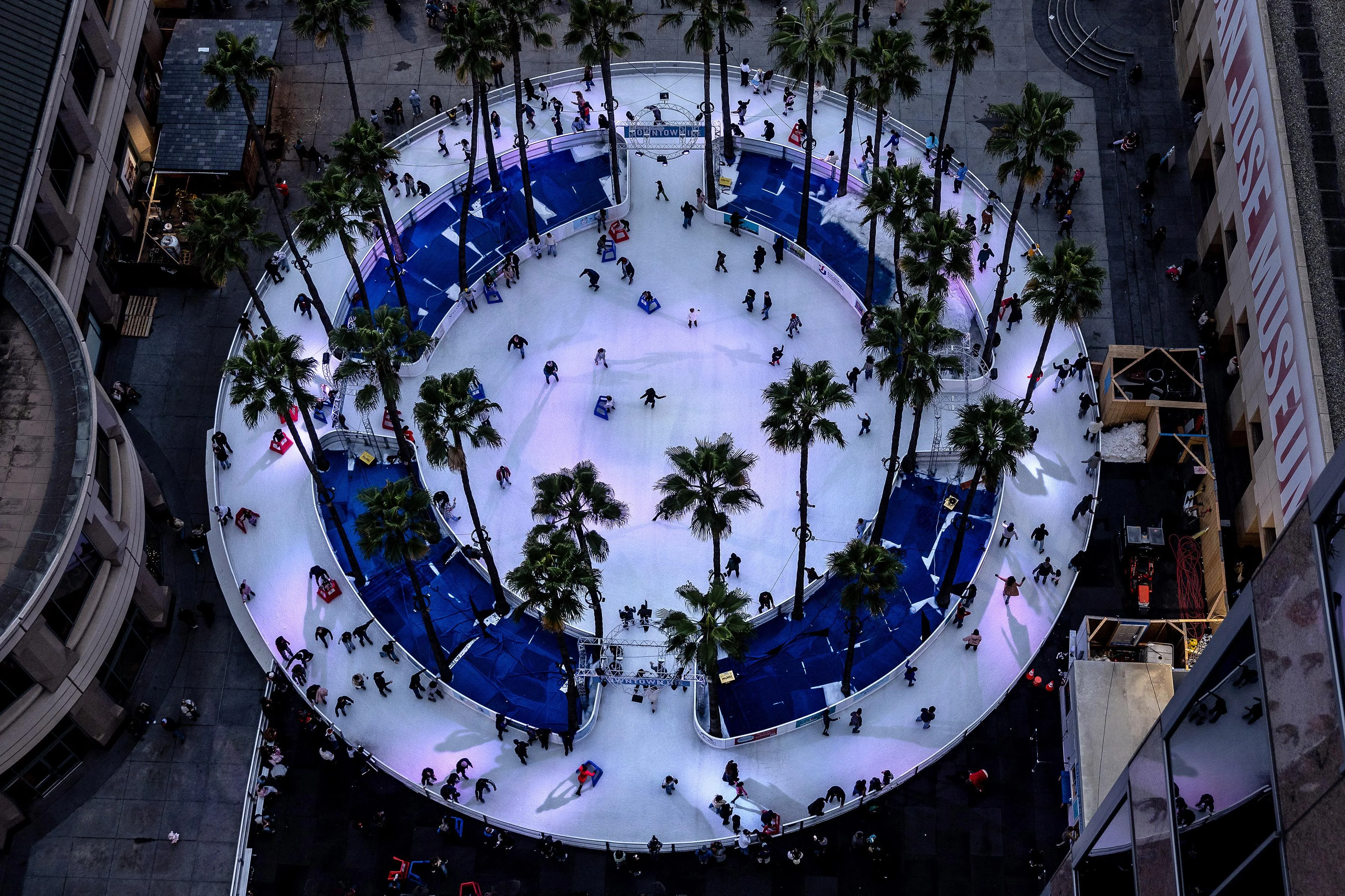 Skate Under the Palms at Downtown Ice
