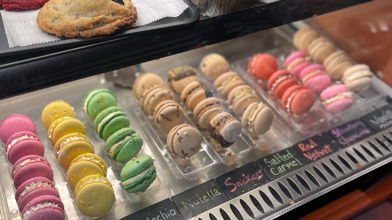 River Kitty Cat Café