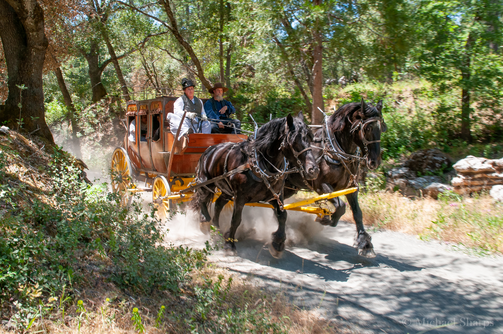 Columbia Stage Line and Stable