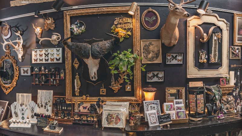 The Downtown Oddity Parlor