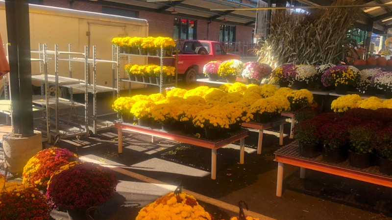 Ed & Ellens Greenhouse