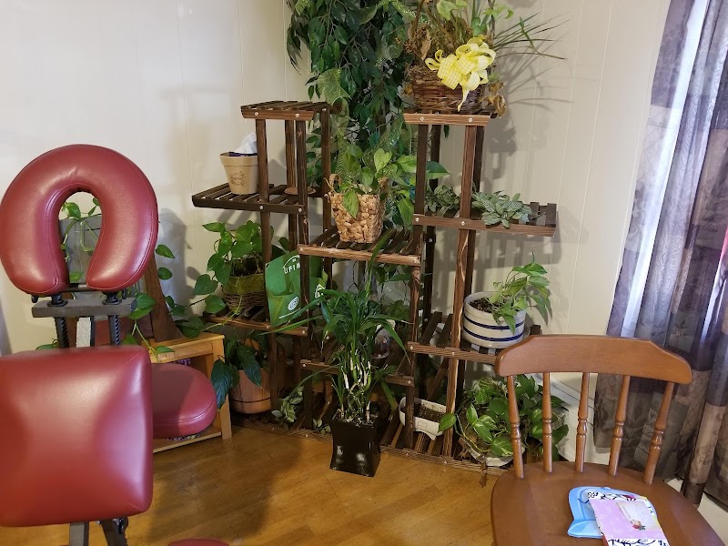 Health2You by Jamie-Nazareth Farmers Market