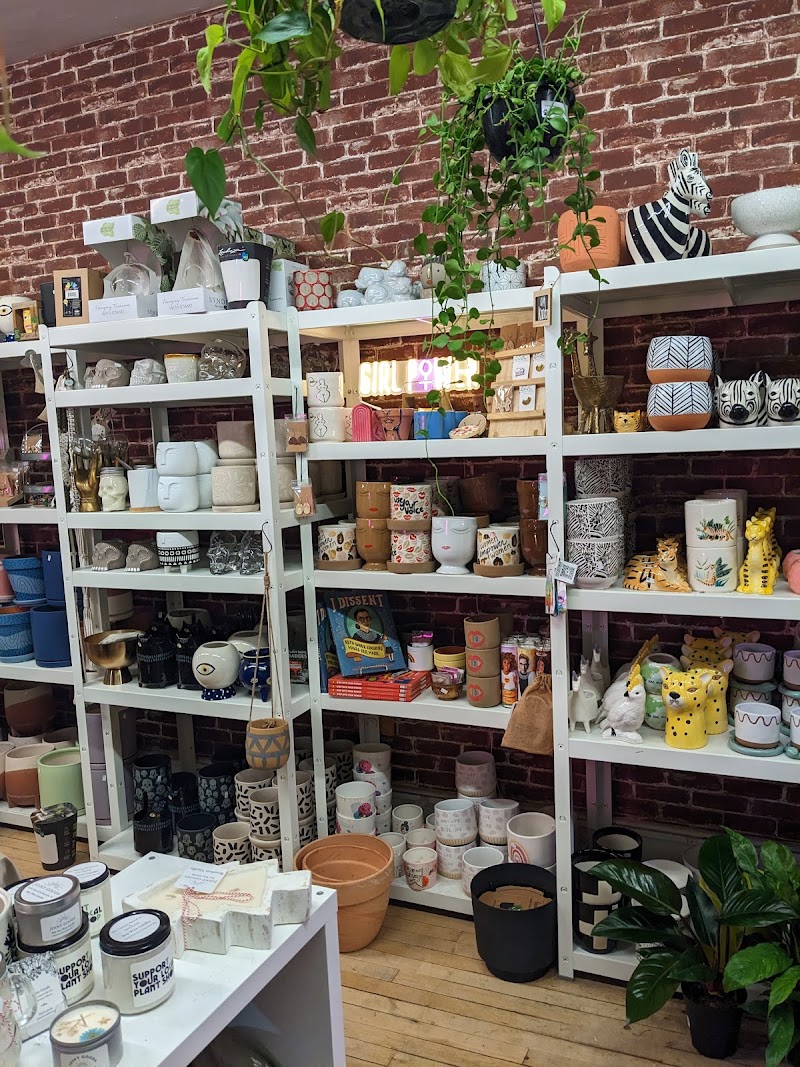 The Curious Plantaholic