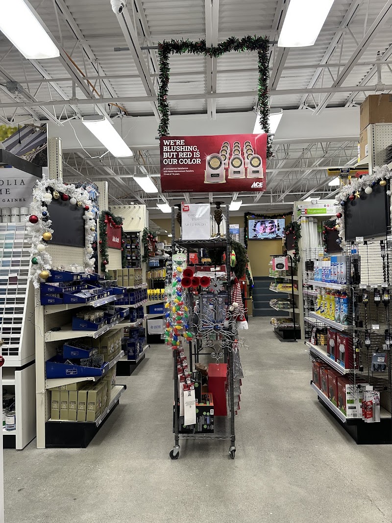 Ace Hardware