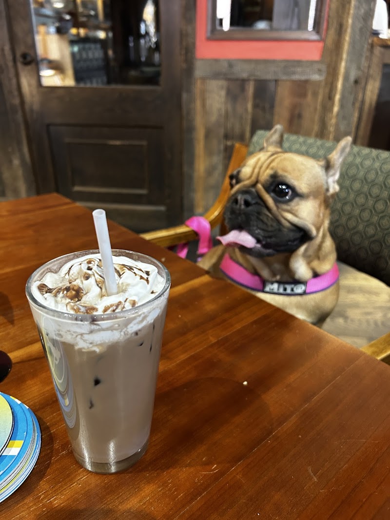 Smoky Mountain Dog Bar