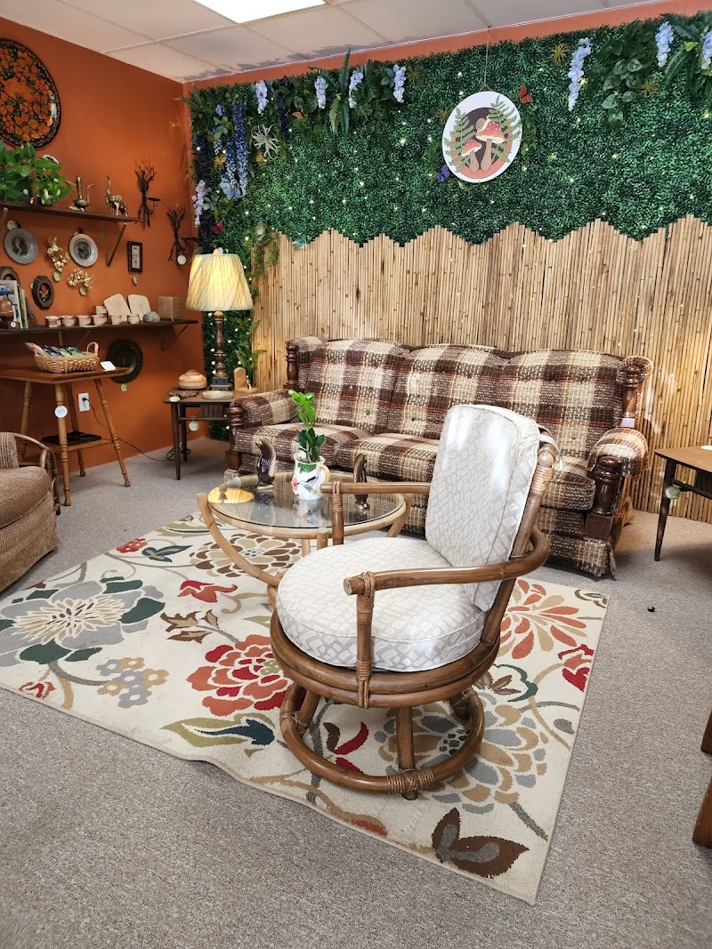 The Funky Fern Emporium