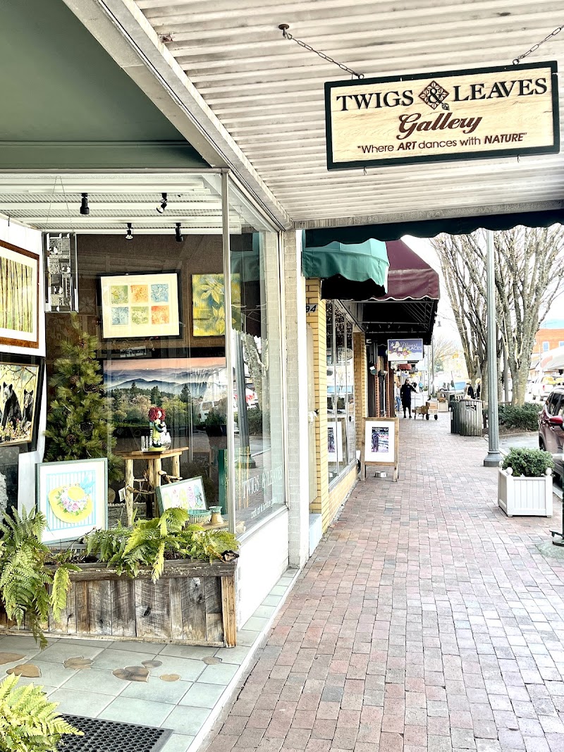 Twigs & Leaves Gallery