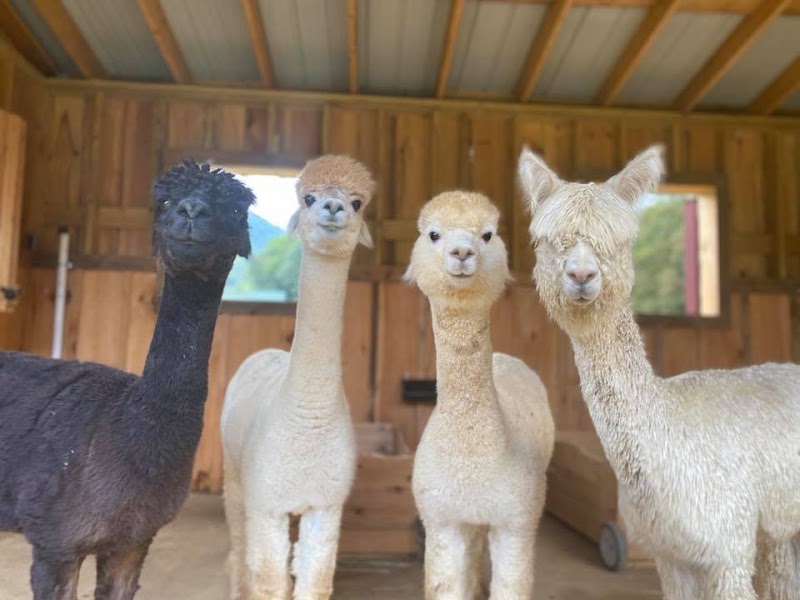 Winchester Creek Farm