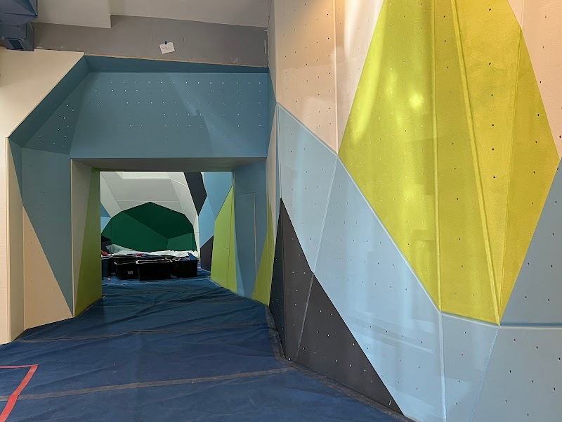 Steamboat Climbing Collective