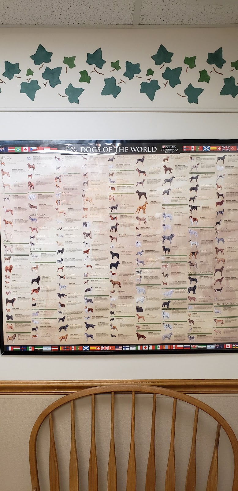 Douds Veterinary Hospital