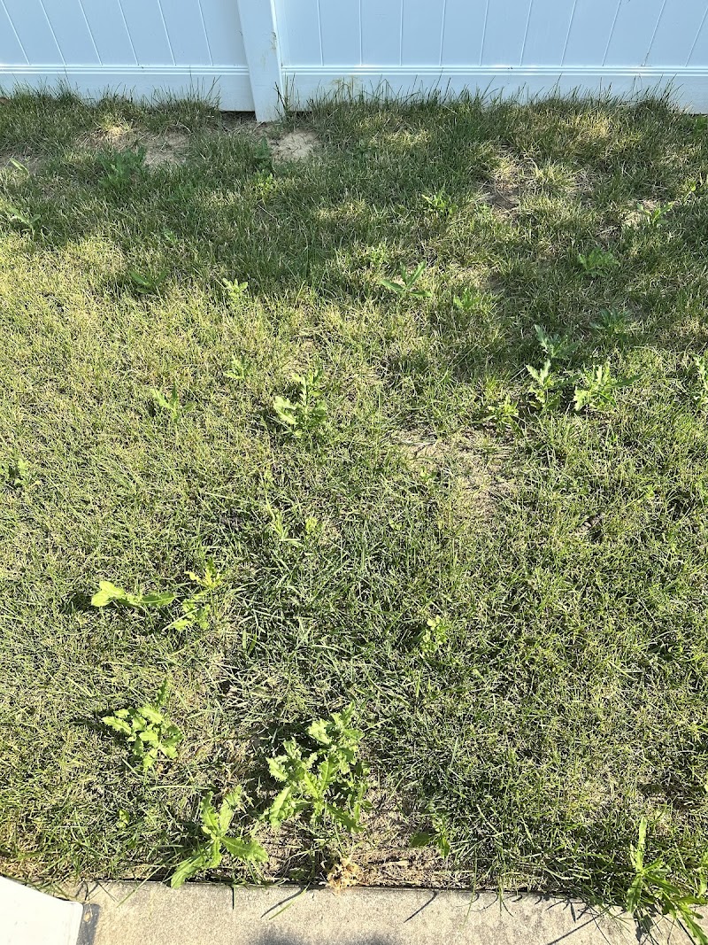 GoGreen Garden Center 