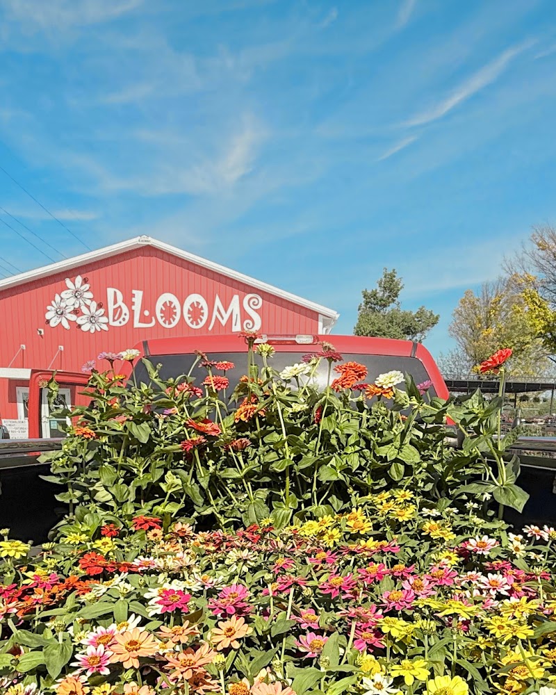 Blooms by Bladeworks