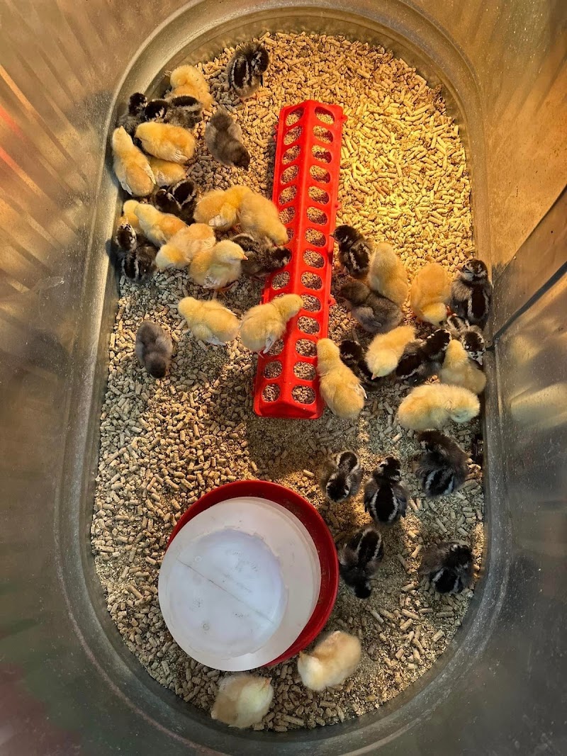 Old Mill Country Store LLC