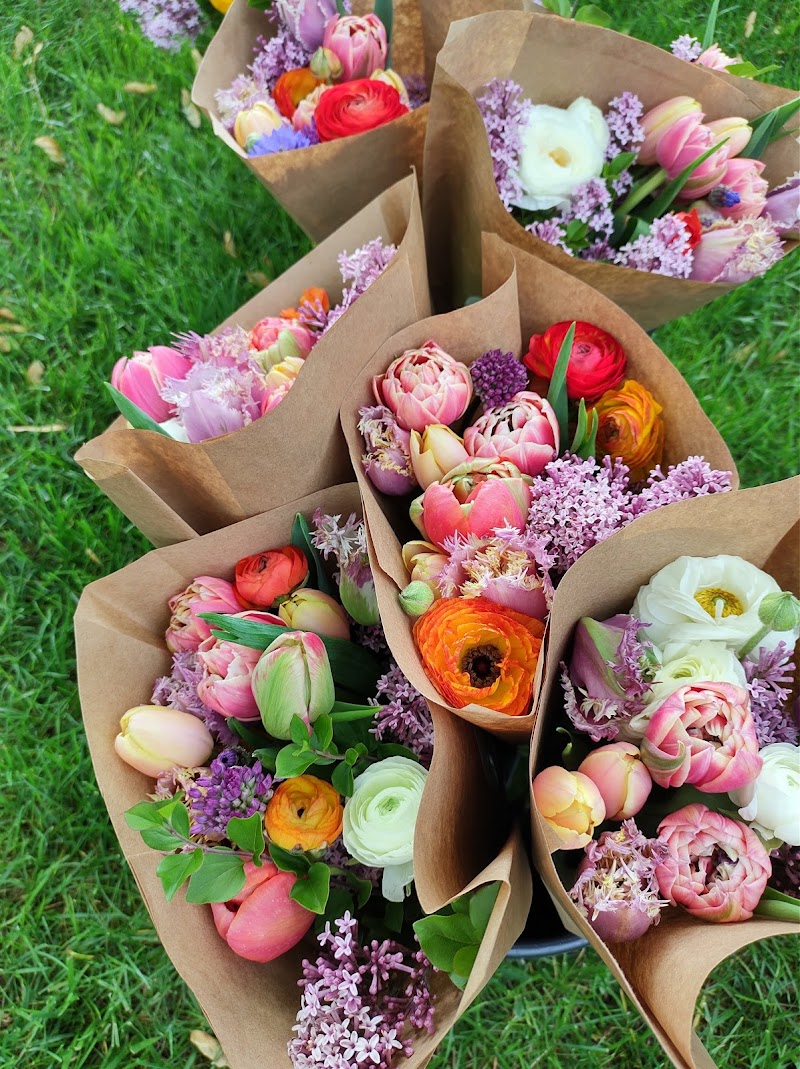 All My Friends Are Flowers