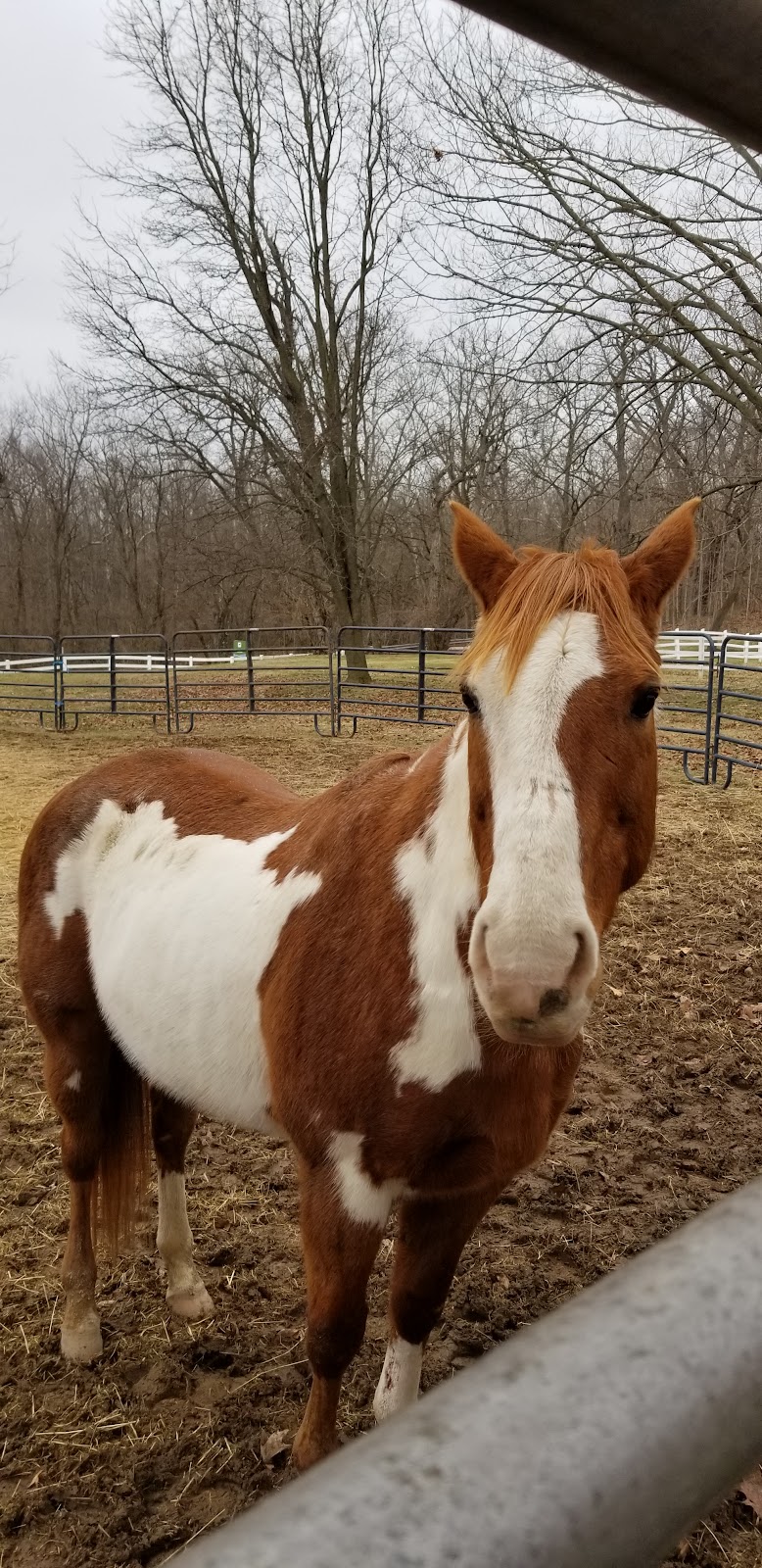 Carriage Hill MetroPark Riding Center