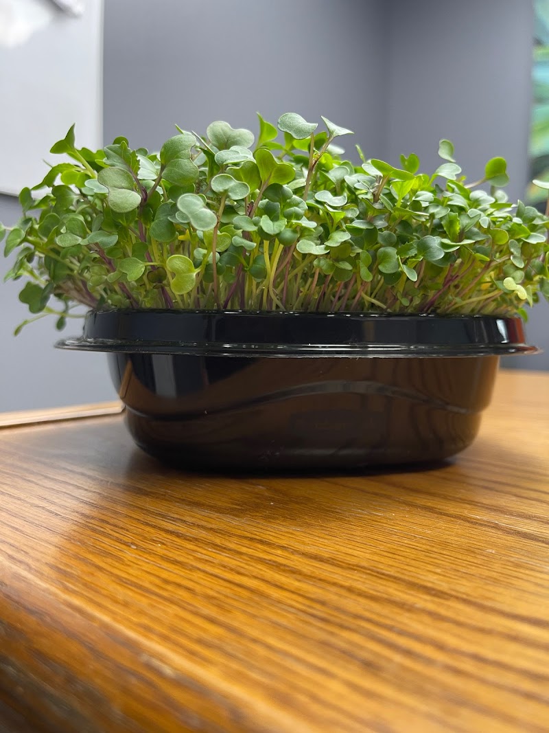 Dayton MicroGreen