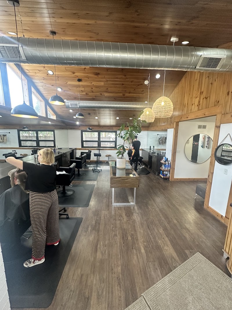 The Studio Collective