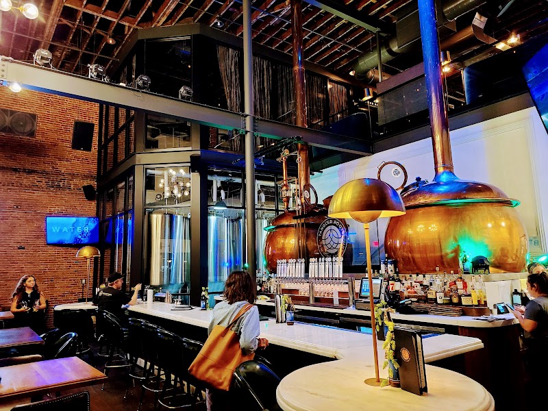 The Lone Buffalo by Tangled Roots Brewing Company