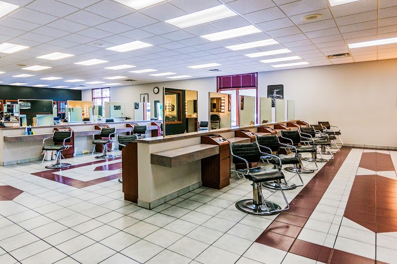 The Professional Hair Design Academy