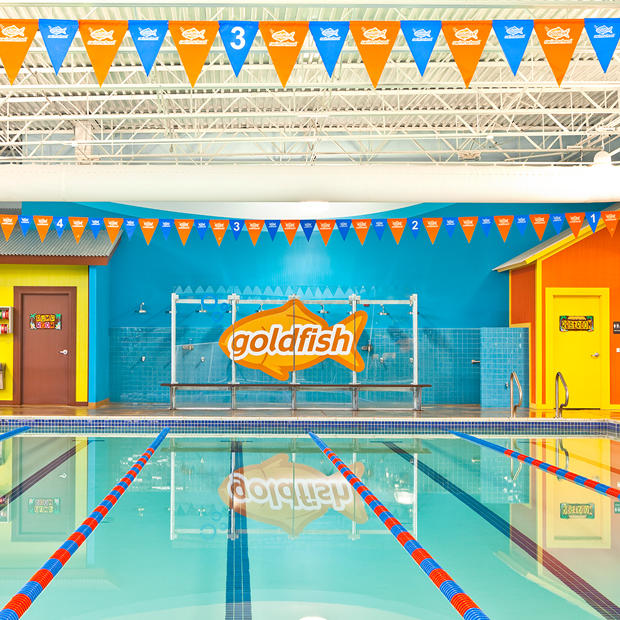 Goldfish Swim School
