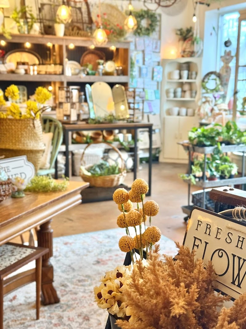 Mama Jo's Trading Co.