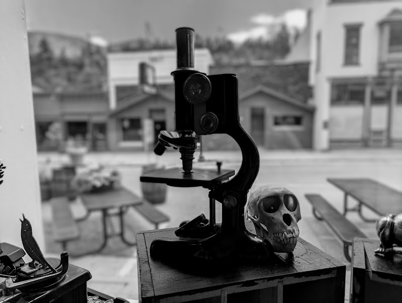 Ology Emporium