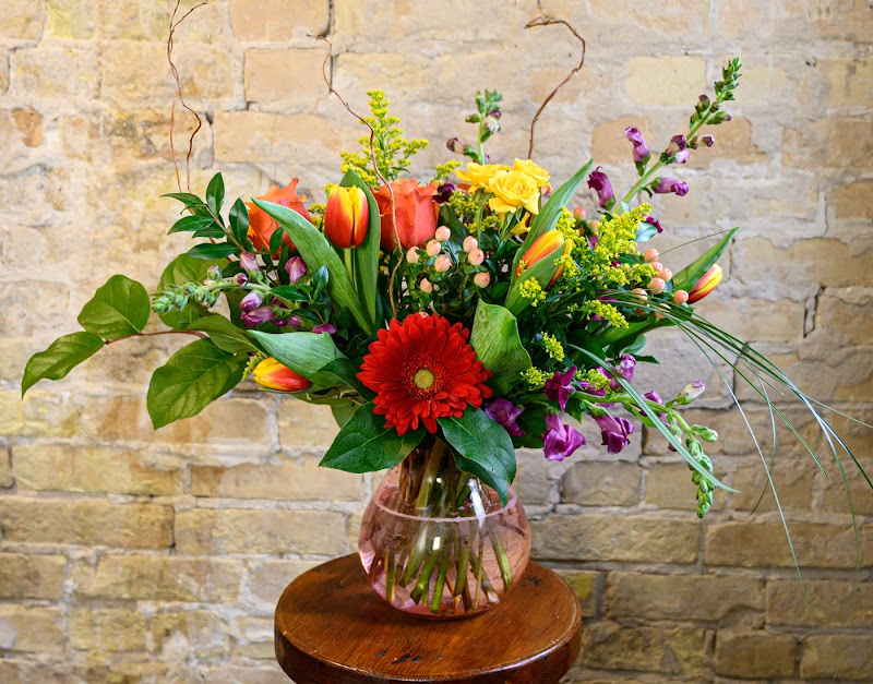 Sun Prairie Flowers by Hen & Chick