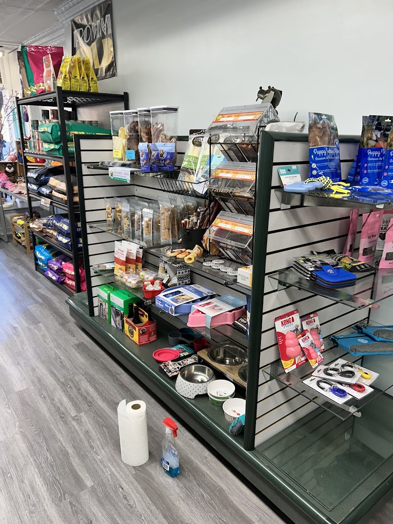 For The Love of Dogs