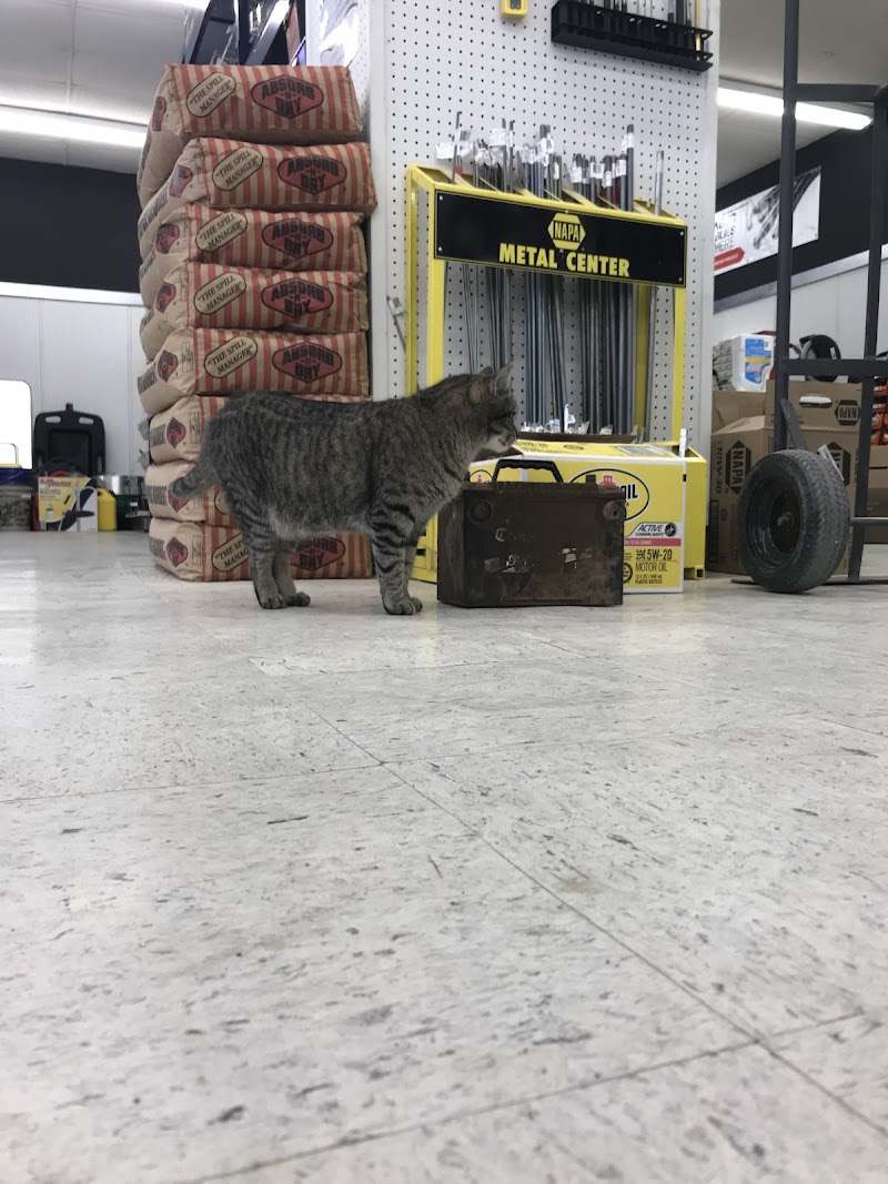 Main Street Auto Parts