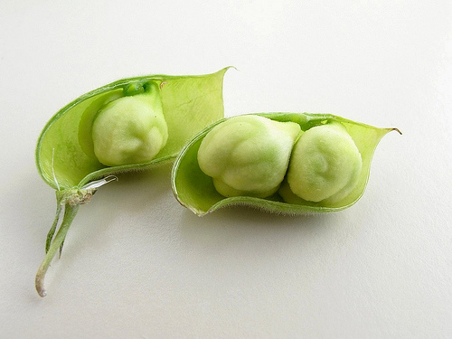 Green Chicpea
