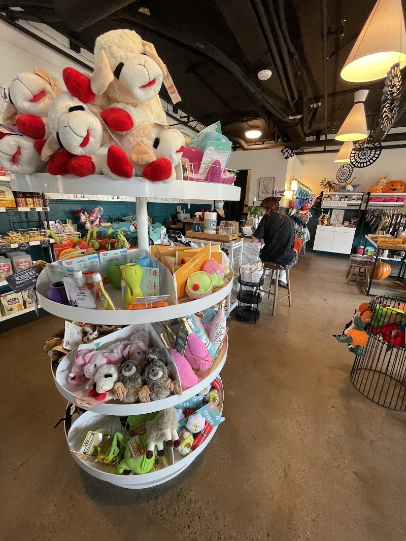 Leash and Collar Dog Boutique