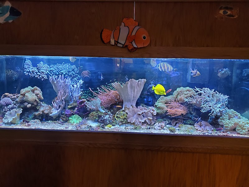 Headwaters Science Center