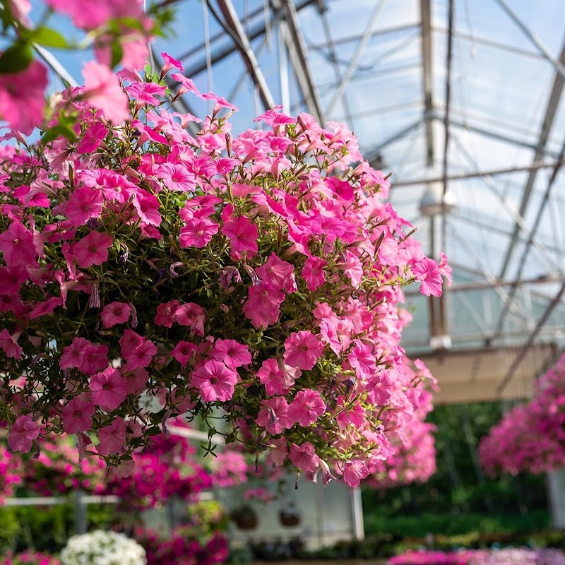 Nature's Edge Garden Center