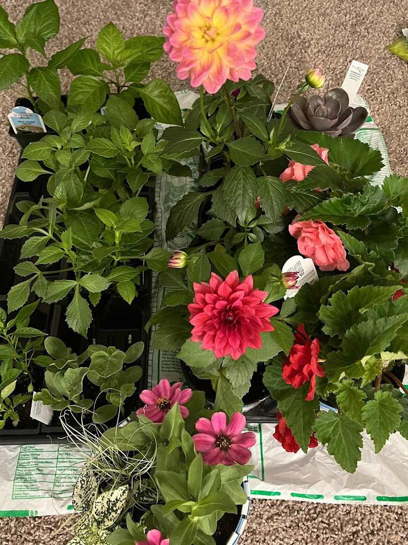 Schuring's Retail Greenhouse