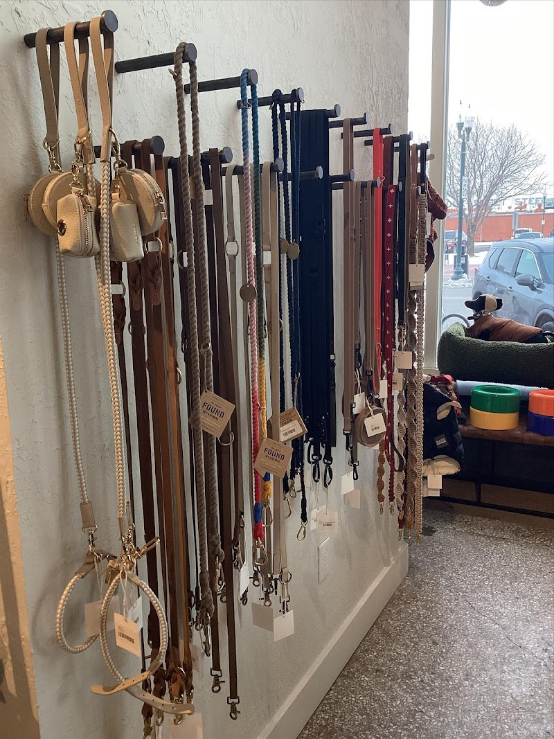 The Tail That Got Away