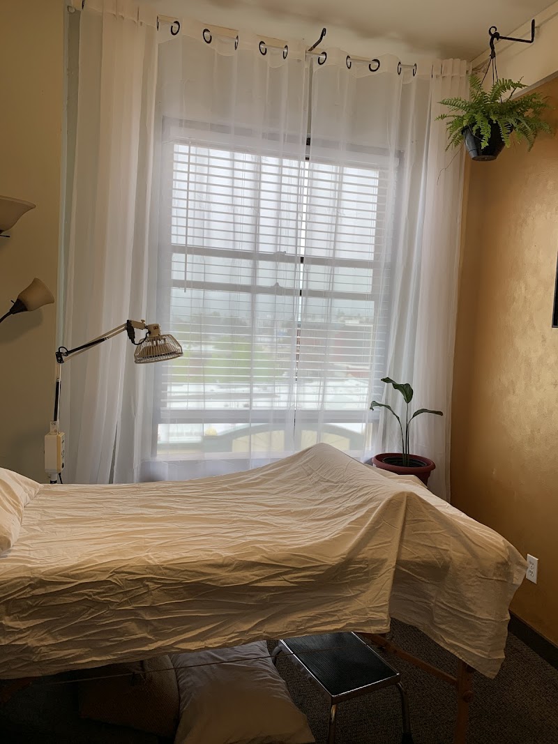 Avalon Acupuncture and Chinese Medicine, LLC 