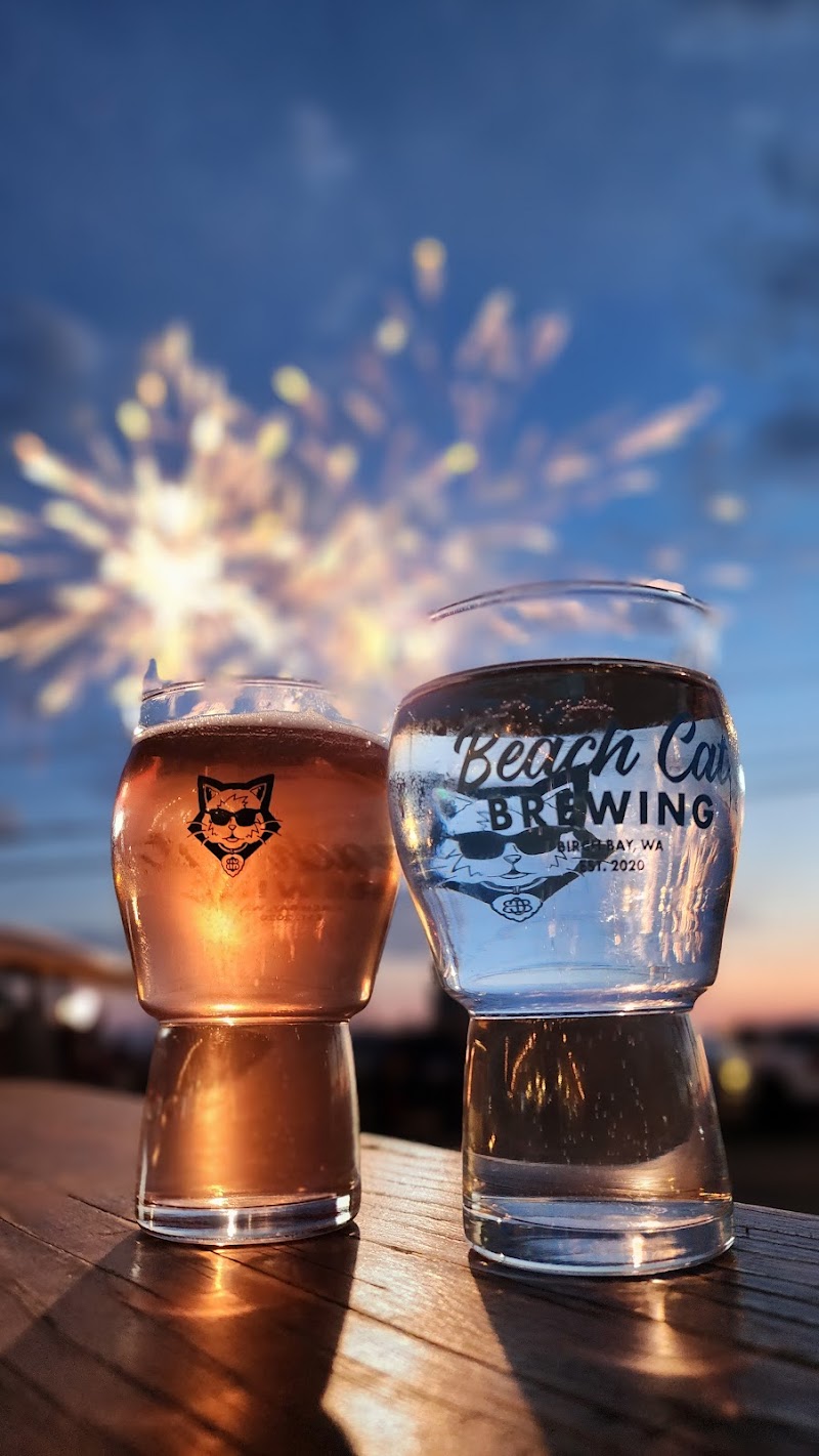 Beach cat brewing 