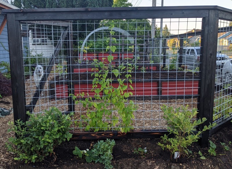 Bellingham Foodscapes