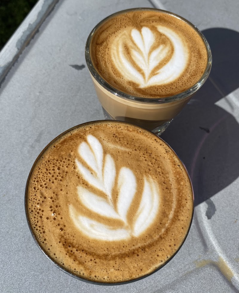 Bay Area Co Roasters 