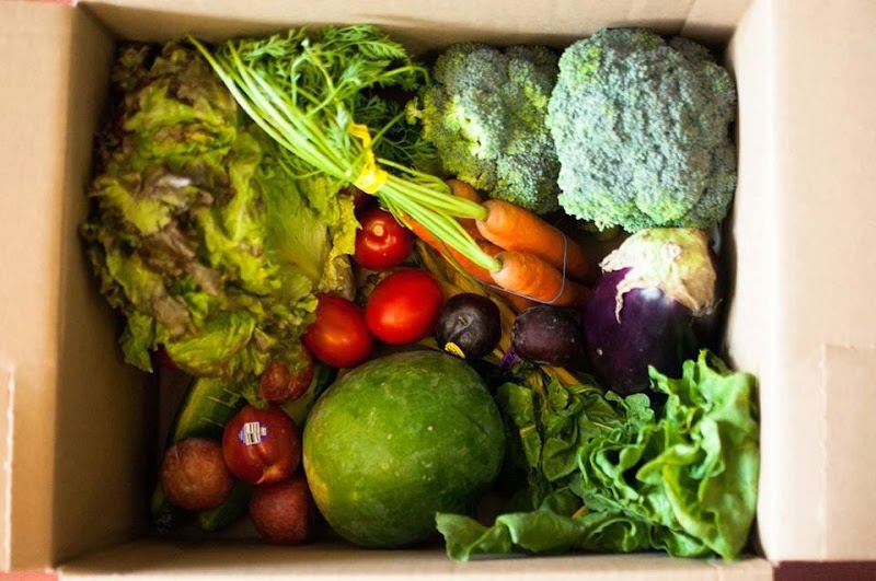 Berkeley Student Food Collective