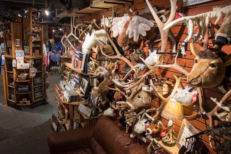 Kokomo Unique Colorado Gifts & Souvenirs