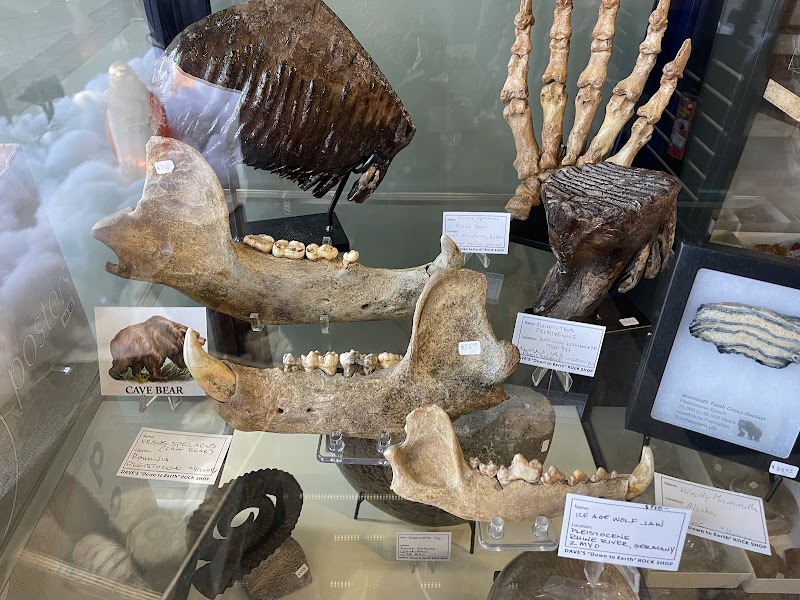 Dave's Down to Earth Rock Shop