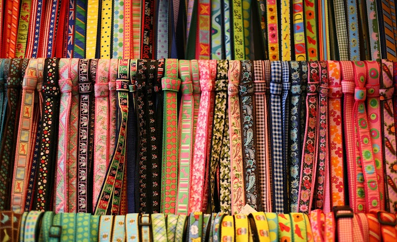 Follow Your Nose Pets