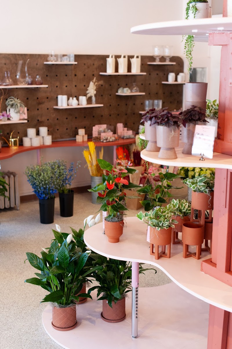 Saville Flowers & Gifts