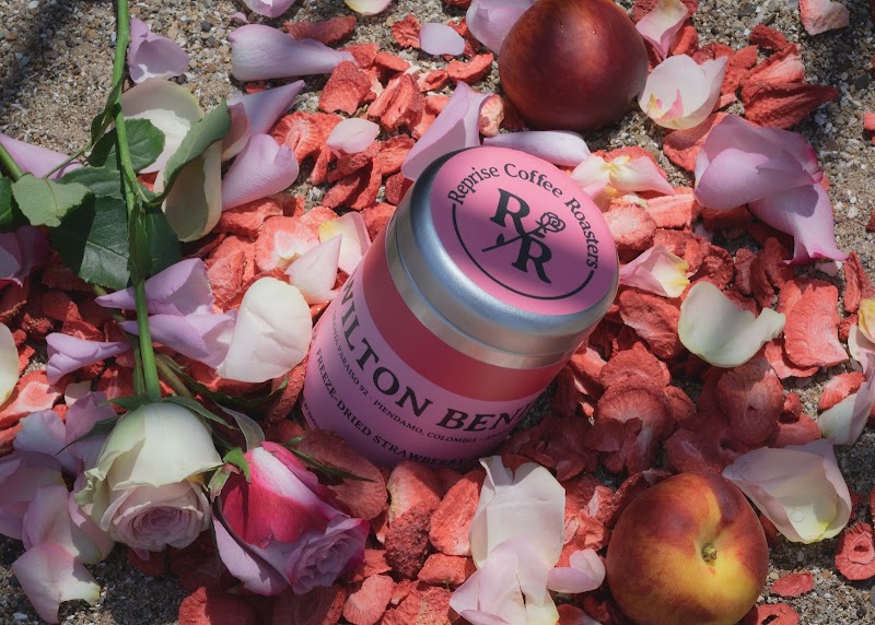 Reprise Coffee Roaster