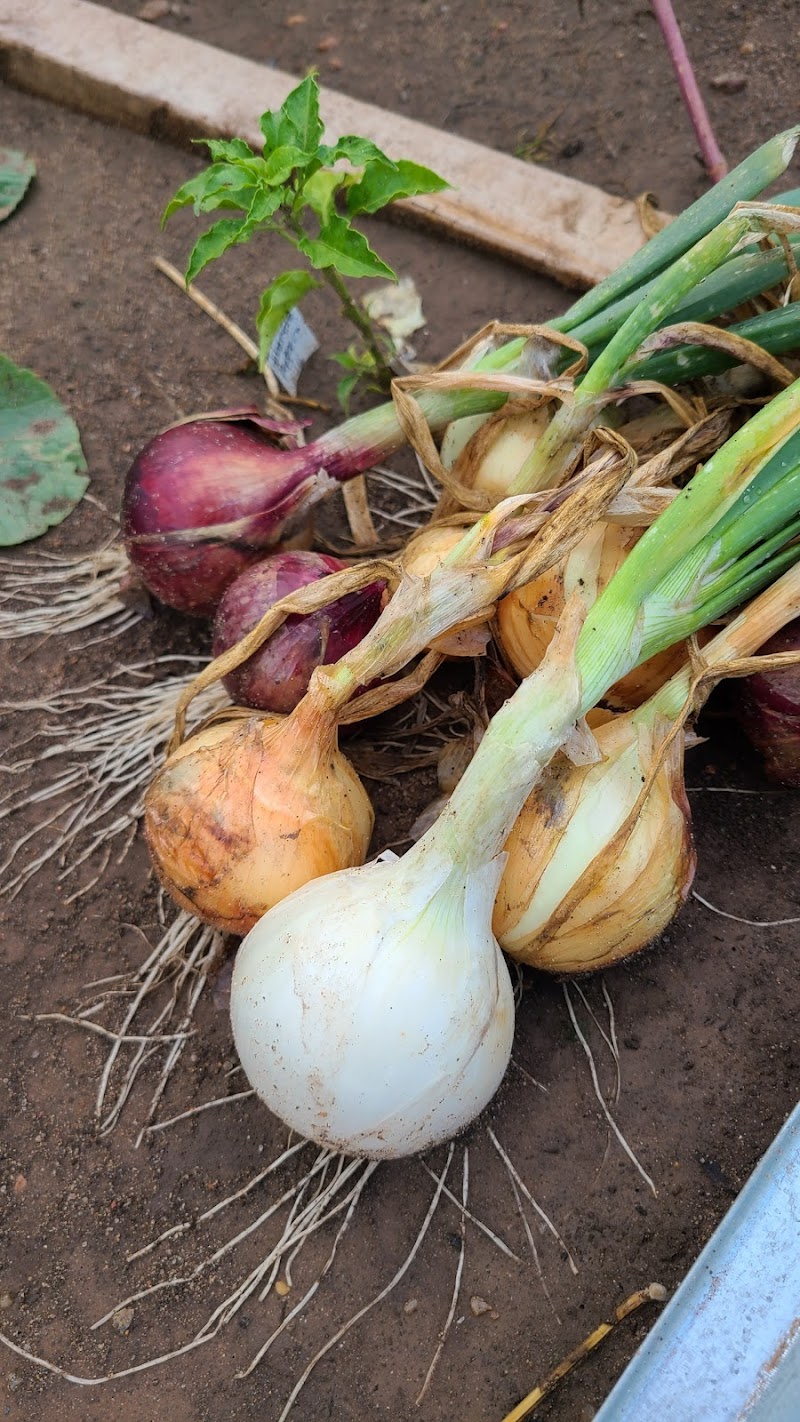 Sunny Creek Trading Post