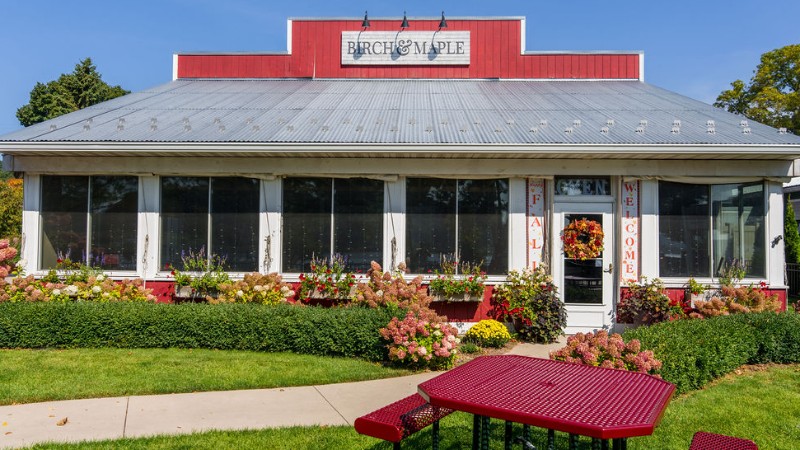 Birch & Maple