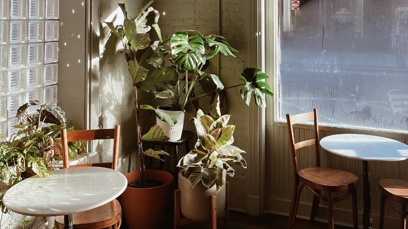 Meadowlark Coffee Shop