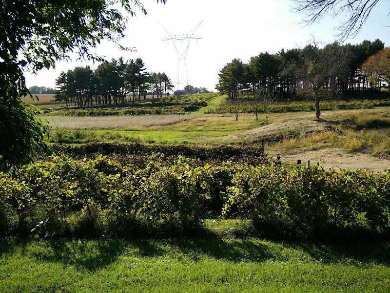 Waterman Winery & Vineyards, Inc.